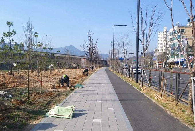 의정부시 가능동(동장 박기호)은 3월 30일 The Green & Beauty City 프로젝트의 일환인 ‘가금로 무궁화거리 조성사업’을 착공했다.