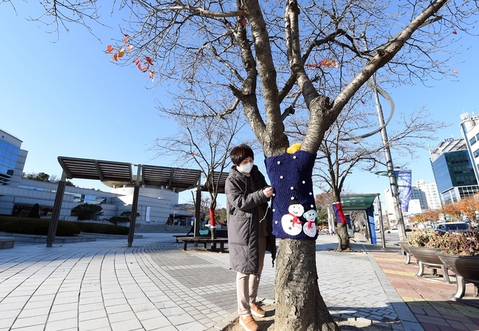 의정부시(시장 안병용)는 11월 5일부터 15일까지 주요 도로변에 마을공동체들이 준비한 가로수 뜨개옷 입히기 주간 행사를 가졌다.