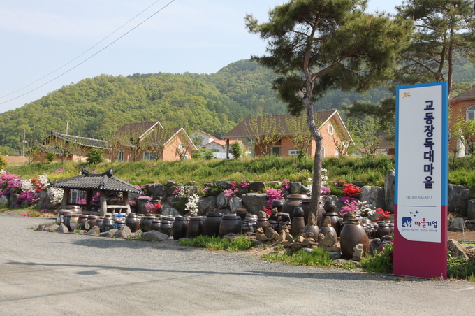 포천시는 교동 장독대마을(대표 이수인)과 대진대학교 산학협력단(단장 김성수)과 협력하여 주민주도형 생활관광 상품개발사업인 ‘포천 팜-라이프 로컬투어’ 사업을 통해 농촌 관광상품의 다변화 및 지역경제 활성화를 목표로 주민과 함께 생활하며 관광자원 및 문화와 연계한 다양한 테마 프로그램을 진행한다.
