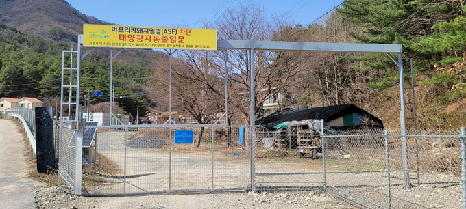 경기 북부 최대 양돈도시인 포천은 양돈 농가에서 아프리카돼지열병(ASF)이 발생하지 않은 경기북부 유일의 청정지역이다.
