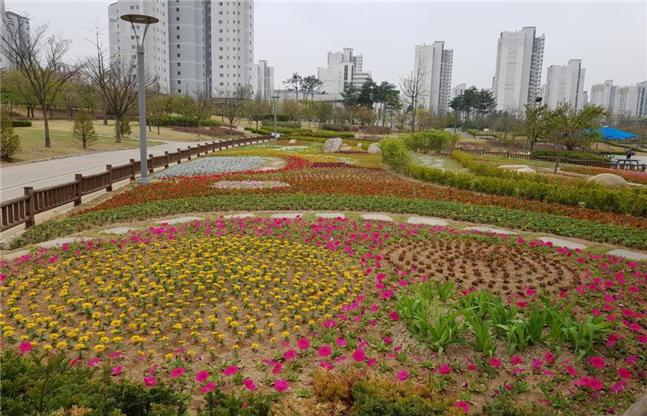 김포시는 코로나-19의 장기화로 침체된 관내 화훼 농가를 살리고 시민에게 활기찬 공원환경을 제공하기 위해 한강신도시 공원 4개소에 봄꽃 식재를 완료했다고 밝혔다.