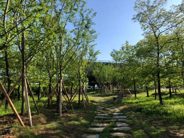 김포시는 고촌물류단지 인근 서울외곽순환도로, 김포한강로 등에서 유입되는 미세먼지 확산을 줄이고, 대기오염으로부터 시민들의 건강을 보호하기 위한 고촌물류단지 미세먼지 차단숲 조성사업을 완료했다고 밝혔다.