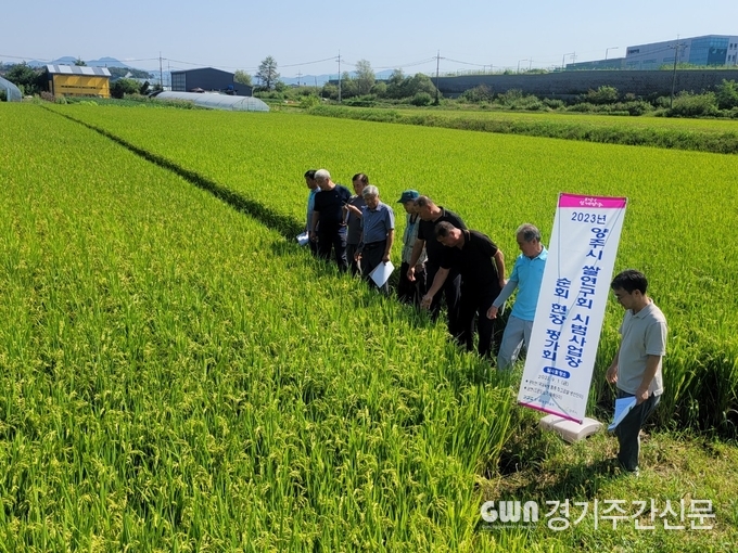  양주시는 오늘 1일 양주시쌀연구회(회장 백웅현) 임원, 관계 공무원 등 15명이 참여한 가운데 관내 광적면, 남면에 소재한 고품질쌀 생산단지에서 시범사업 순회 현장 평가회를 성황리 마쳤다고 밝혔다.