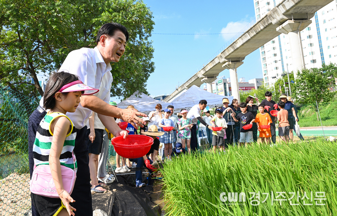  김동근 의정부시장이 8월 2일 중랑천 벼농사 체험장에서 시민들과 오리 방사 행사에 참여하고 있다. / 사진=의정부시제공