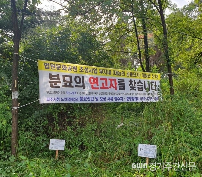  파주시는 법원읍 대능 공동묘지(법원읍 대능리 산18) 내 무연분묘 약 700기를 대상으로 오는 9월 중순 추석 연휴 기간 전후로 일제 정비에 나설 계획이다. / 사진=파주시제공<br>